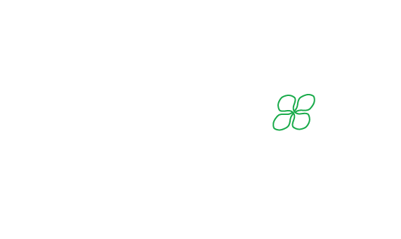 体質改善、耳つぼダイエットを短期集中マンツーマン指導で行う摂津市のle trefle千里丘
